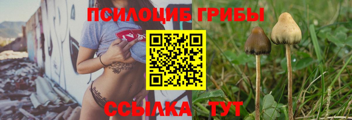 Галлюциногенные грибы Magic Shrooms Первоуральск