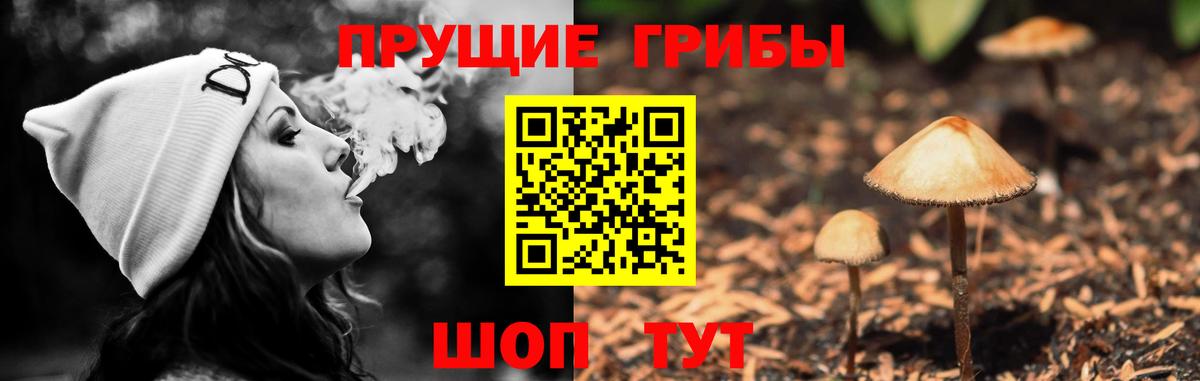 наркота  Вход с VPN  Первоуральск  Галлюциногенные грибы Psilocybine cubensis 